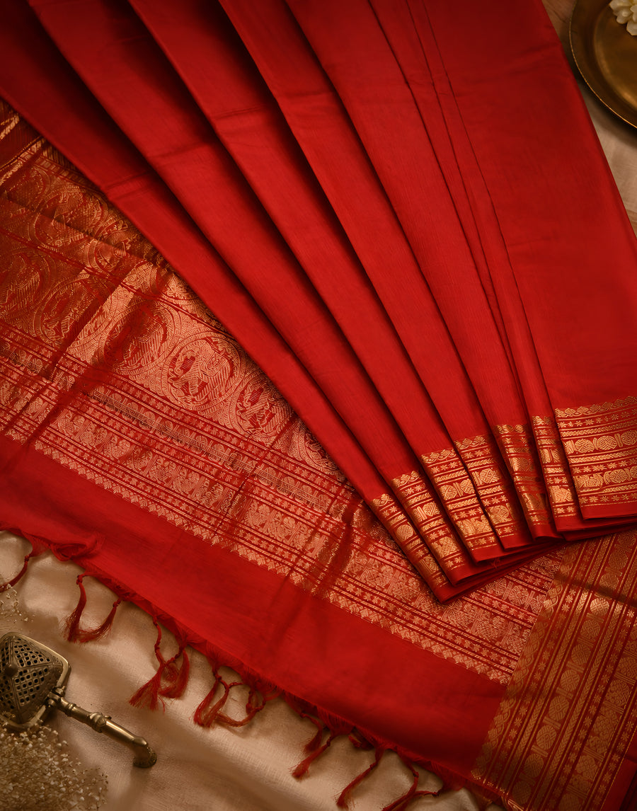 Shreemayi