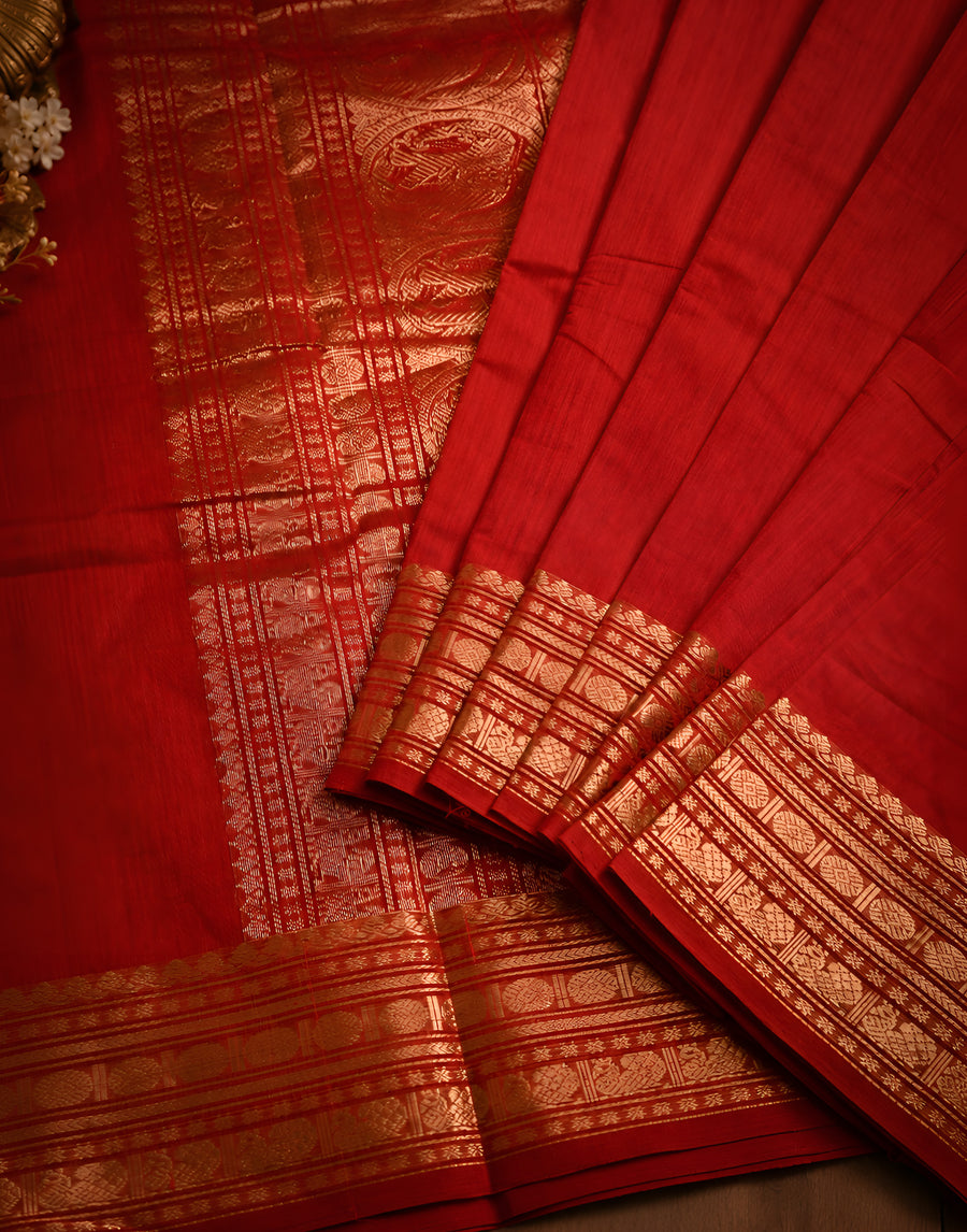 Shreemayi